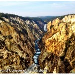 Pictures of Yellowstone and Grandteton in The Fall