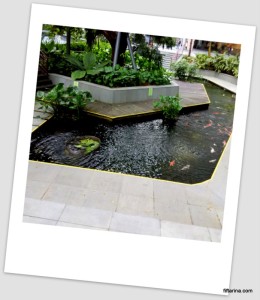 Koi pond just outside Helios biopolis